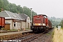 LEW 12509 - DR "110 227-6"
08.09.1990 - Bärenstein (Kr. Annaberg)
Matthias Hengst