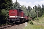 LEW 12832 - DR "202 323-2"
28.07.1992 - Hammerbrücke (Vogtland)
Jörg Helbig