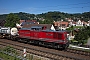 LEW 12873 - Metrans "202 364-6"
08.07.2012 - Stadt Wehlen
Ingo Wlodasch