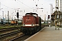 LEW 12916 - DB AG "202 407-3"
01.06.1996 - Leipzig, Hauptbahnhof
Daniel Berg