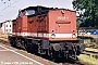 LEW 12934 - DB Regio "202 425-5"
__.05.2000 - Bad Schandau
Ralf Brauner