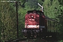 LEW 13529 - DB Regio "202 490-9"
09.09.1999 - Lauenstein
Marvin Fries