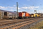 LEW 13570 - RTS "293.004"
12.03.2015 - Bensheim-Auerbach
Ralf Lauer