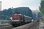 LEW 13882 - DR "112 564-0"
10.08.1990 - Pockau-Lengefeld
Ingmar Weidig