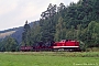 LEW 13893 - DR "202 574-0"
07.08.1992 - Schönheide (Erzgebirge)
Jörg Helbig