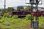 LEW 14361 - DB Cargo "56 660-5"
09.06.2023 - Karlovo
Frank Weimer