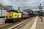 LEW 14383 - RRF "17"
11.04.2014 - Dordrecht
Rens Bloom