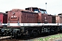 LEW 14413 - DB Cargo "204 712-4"
12.08.2004 - ChemnitzKlaus Hentschel