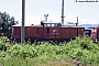 LEW 14424 - DB Cargo "204 723-1"
09.06.2023 - Karlovo
Frank Weimer