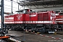 LEW 14439 - Adam "12"
23.07.2011 - Eisenach
Konstantin Koch