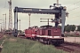 LEW 14854 - DB AG "202 797-7"
15.06.1995 - Neubrandenburg
Michael Uhren