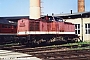 LEW 15239 - DB AG "202 854-6"
14.05.1994 - Magdeburg-Rothensee
Andreas Kube