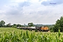 LEW 16584 - PRESS "293 022-0"
19.07.2019 - Tröglitz
Helmut Sangmeister