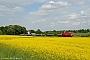 LEW 17841 - DB Schenker "298 313-8"
08.05.2009 - Schwastorf-Dratow
Marko Switala