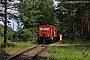 LEW 17841 - DB Cargo "298 313-8"
04.07.2020 - Fangschleuse
Edgar Kirsche